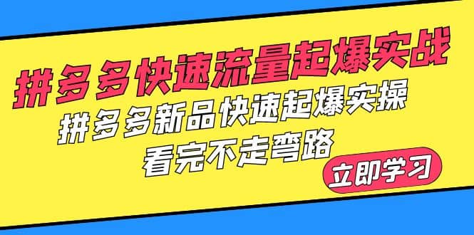 拼多多-快速流量起爆实战，拼多多新品快速起爆实操，看完不走弯路-小二项目网