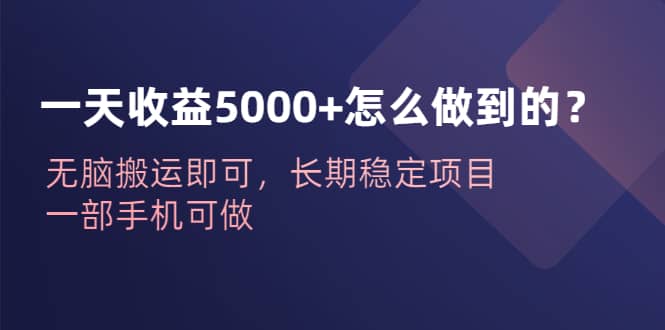 一天收益5000 怎么做到的？无脑搬运即可，长期稳定项目，一部手机可做-小二项目网