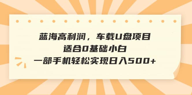 蓝海高利润，车载U盘项目，适合0基础小白，一部手机轻松实现日入500-小二项目网