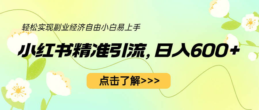 小红书精准引流，小白日入600 ，轻松实现副业经济自由（教程 1153G资源）-小二项目网