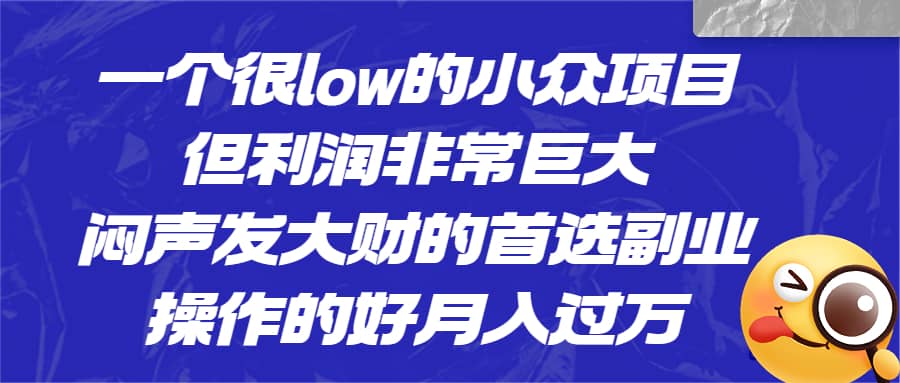 一个很low的小众项目，但利润非常巨大，闷声发大财的首选副业，月入过万-小二项目网