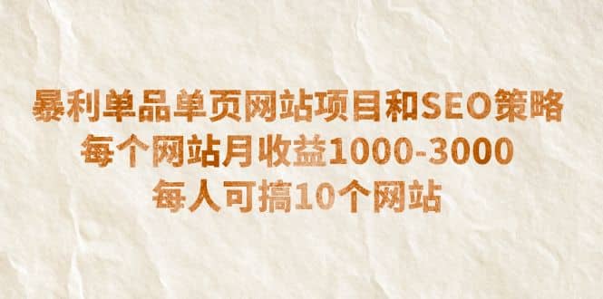 暴利单品单页网站项目和SEO策略 每个网站月收益1000-3000 每人可搞10个-小二项目网