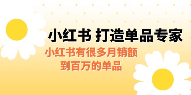 某公众号付费文章《小红书 打造单品专家》小红书有很多月销额到百万的单品-小二项目网