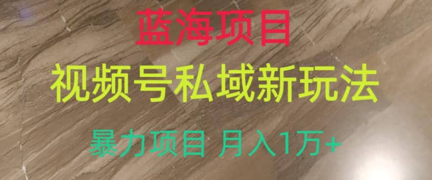 蓝海项目，视频号私域新玩法，暴力项目月入1万 【揭秘】-小二项目网