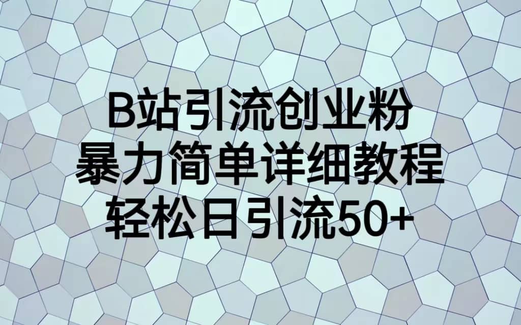 B站引流创业粉，暴力简单详细教程，轻松日引流50-小二项目网