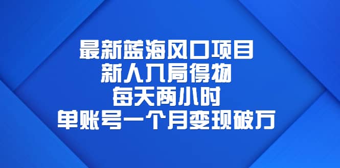 最新蓝海风口项目，新人入局得物，每天两小时，单账号一个月变现破万-小二项目网