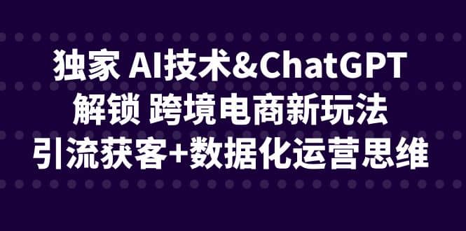 独家 AI技术ChatGPT解锁 跨境电商新玩法，引流获客 数据化运营思维-小二项目网