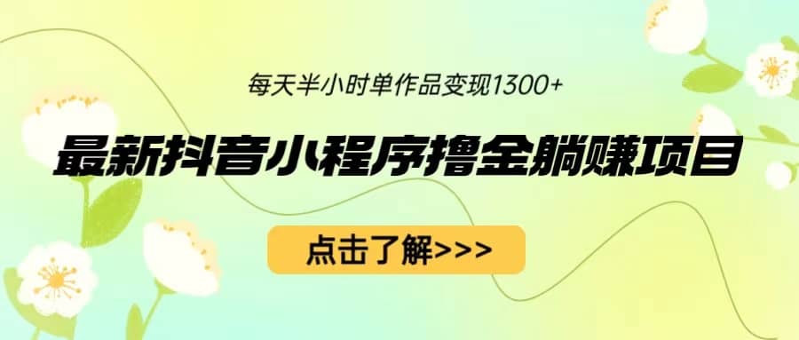 最新抖音小程序撸金躺赚项目，一部手机每天半小时，单个作品变现1300-小二项目网