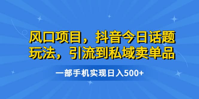 风口项目，抖音今日话题玩法，引流到私域卖单品，一部手机实现日入500-小二项目网