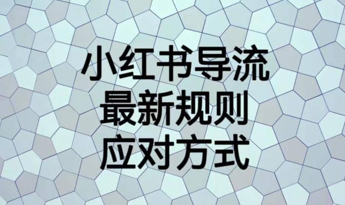 小红书导流最新规则应对方式【揭秘】-小二项目网