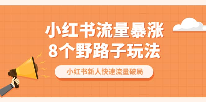 小红书流量-暴涨8个野路子玩法：小红书新人快速流量破局（8节课）-小二项目网