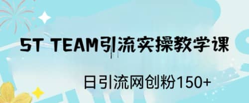 ST TEAM引流实操课，日引流网创粉100-小二项目网