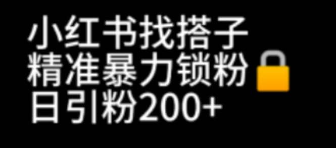 小红书找搭子暴力精准锁粉 引流日引200 精准粉-小二项目网