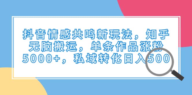 抖音情感共鸣新玩法，知乎无脑搬运，单条作品涨粉5000 ，私域转化日入500-小二项目网