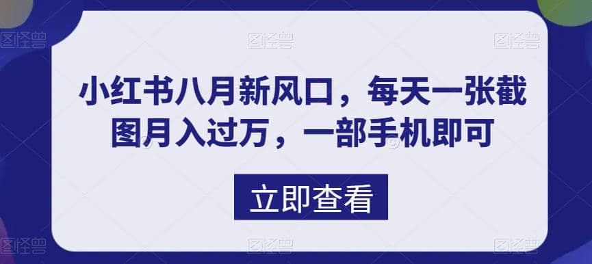 八月新风口，小红书虚拟项目一天收入1000 ，实战揭秘-小二项目网