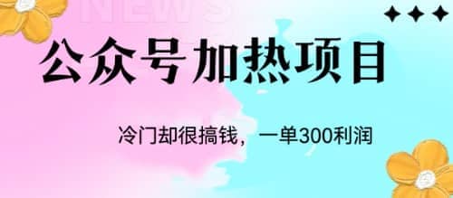 冷门公众号加热项目，一单利润300-小二项目网