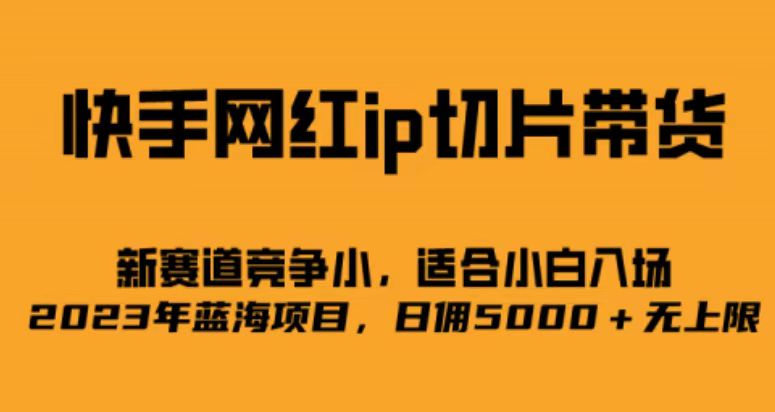 快手网红ip切片新赛道，竞争小事，适合小白 2023蓝海项目-小二项目网