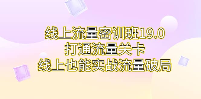 线上流量密训班19.0，打通流量关卡，线上也能实战流量破局-小二项目网