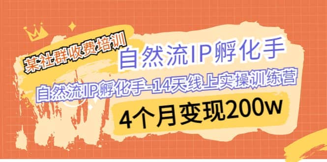 某社群收费培训：自然流IP 孵化手-14天线上实操训练营 4个月变现200w-小二项目网