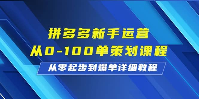 拼多多新手运营从0-100单策划课程，从零起步到爆单详细教程-小二项目网