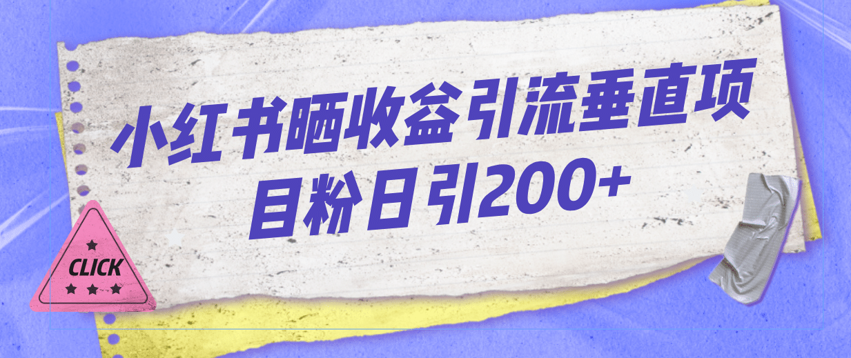 小红书晒收益图引流垂直项目粉日引200-小二项目网