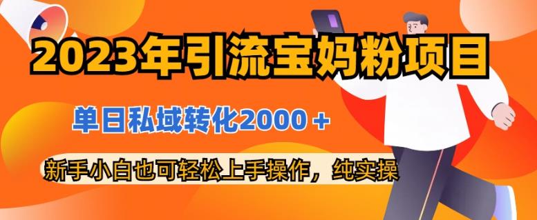 2023年引流宝妈粉项目，单日私域转化2000＋，新手小白也可轻松上手操作，纯实操-小二项目网