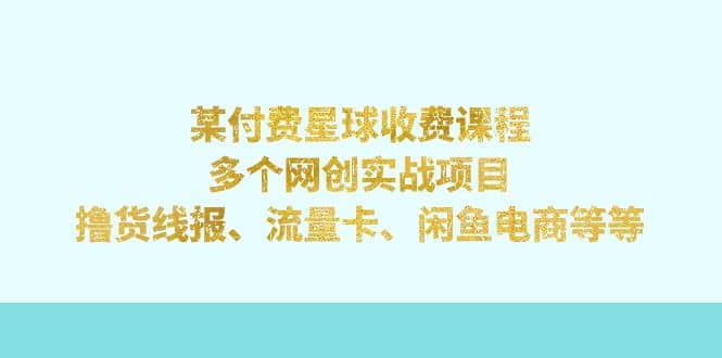 某付费星球课程：多个网创实战项目，撸货线报、流量卡、闲鱼电商等等-小二项目网