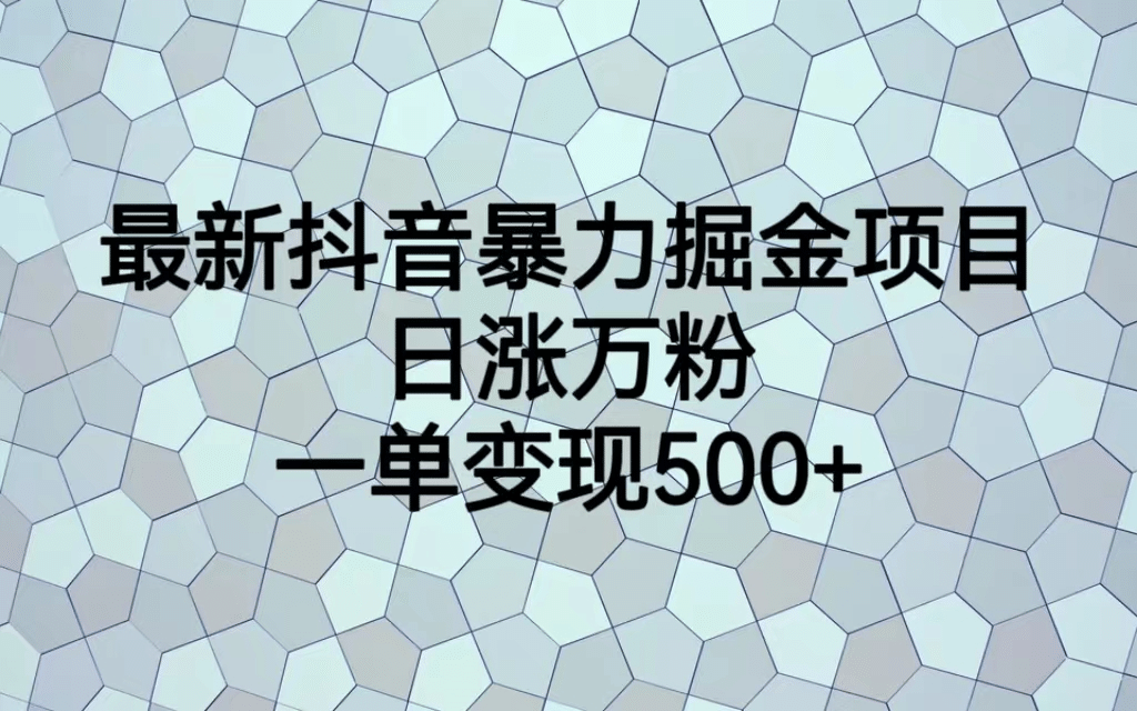 最火热的抖音暴力掘金项目，日涨万粉，多种变现方式，一单变现可达500-小二项目网