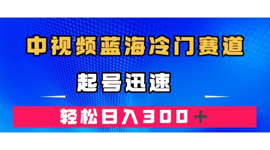 中视频蓝海冷门赛道，韩国视频奇闻解说，起号迅速，日入300＋-小二项目网