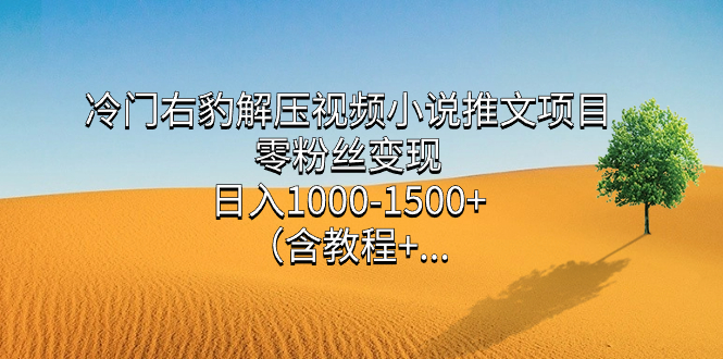 冷门右豹解压视频小说推文项目，零粉丝变现，日入1000-1500 （含教程）-小二项目网