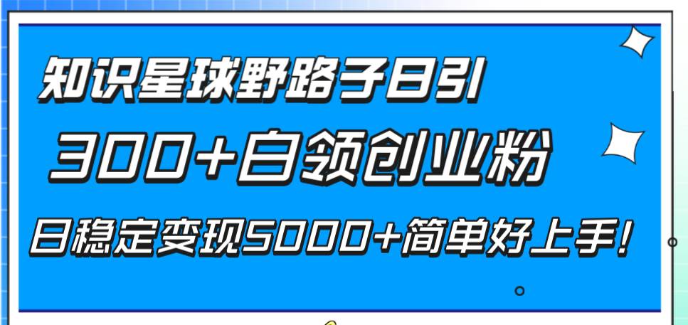 知识星球野路子日引300 白领创业粉，日稳定变现5000 简单好上手！-小二项目网