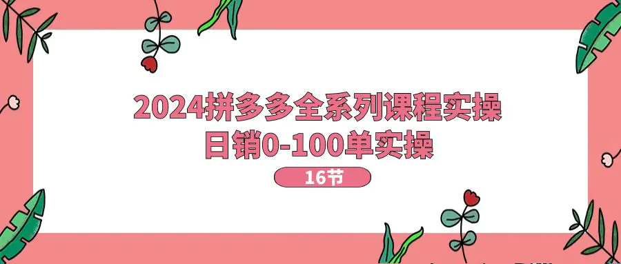 2024拼多多全系列课程实操，日销0-100单实操【16节课】-小二项目网