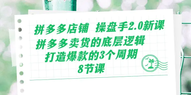 拼多多店铺 操盘手2.0新课，拼多多卖货的底层逻辑，打造爆款的3个周期-8节-小二项目网