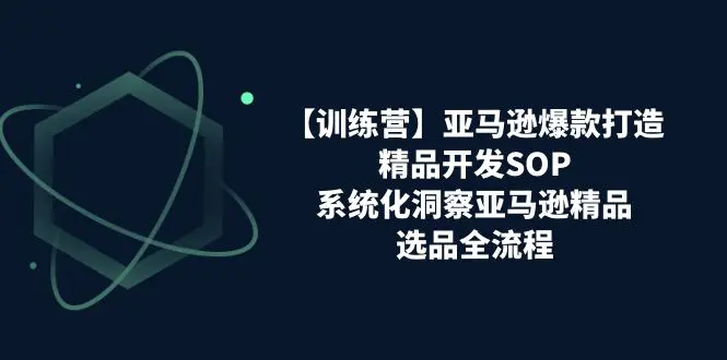 【训练营】亚马逊爆款打造之精品开发SOP，系统化洞察亚马逊精品选品全流程-小二项目网