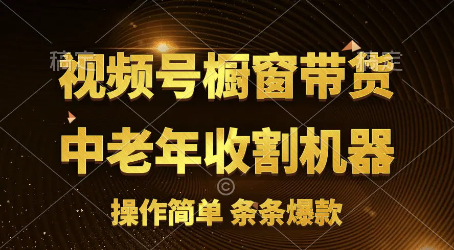 [你的孩子成功取得高位]视频号最火爆赛道，橱窗带货，流量分成计划，条条爆火-小二项目网