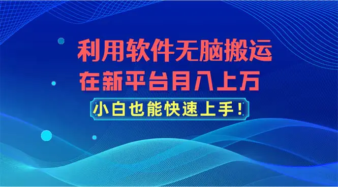 利用软件无脑搬运，在新平台月入上万，小白也能快速上手-小二项目网