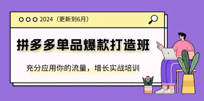 2024拼多多-单品爆款打造班(更新6月)，充分应用你的流量，增长实战培训-小二项目网