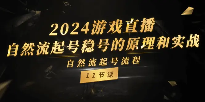 2024游戏直播-自然流起号稳号的原理和实战，自然流起号流程（11节）-小二项目网