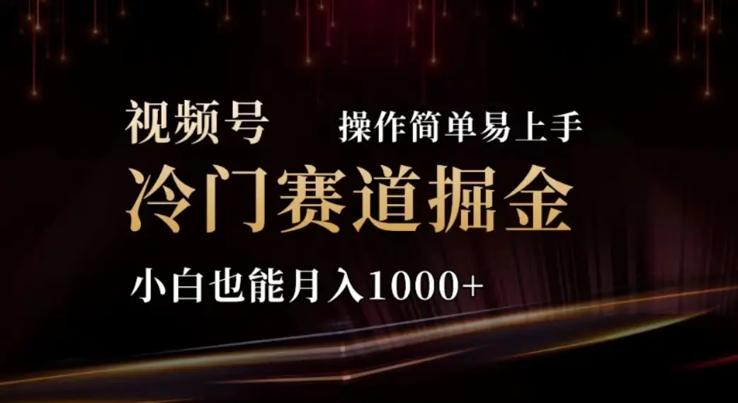 2024视频号冷门赛道掘金，操作简单轻松上手，小白也能月入1000+-小二项目网