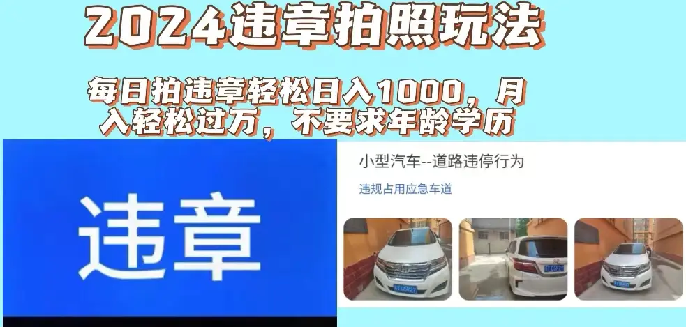 2024违章拍照新玩法，推广躺赚+拍照赚钱双模式，日入1000+-小二项目网