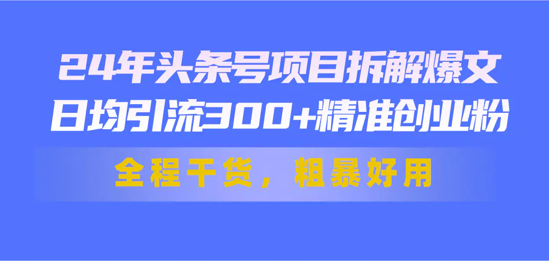 24年头条号项目拆解爆文，日均引流300+精准创业粉，全程干货，粗暴好用-小二项目网