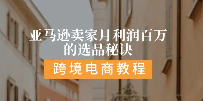 亚马逊卖家月利润百万的选品秘诀: 抓重点/高利润/大方向/大类目/选品-小二项目网