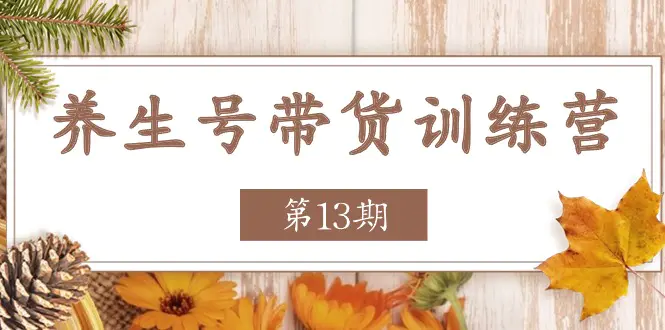 养生号-带货训练营【第13期】收益更稳定的玩法，让你带货收益爆炸-小二项目网