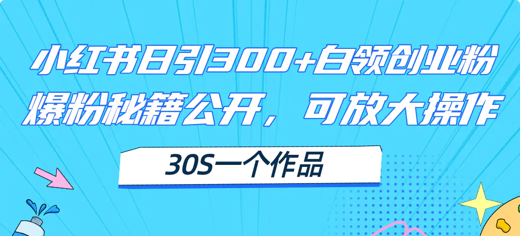 小红书日引300+高质白领创业粉，可放大操作，爆粉秘籍！30s一个作品-小二项目网