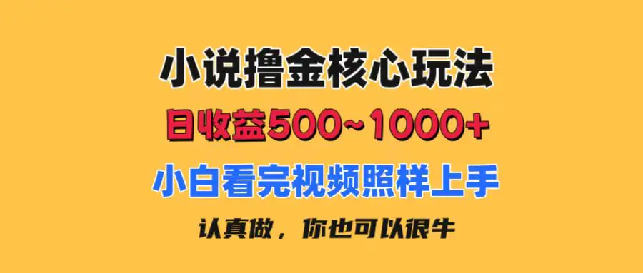 小说撸金核心玩法，日收益500-1000+，小白看完照样上手，0成本有手就行-小二项目网