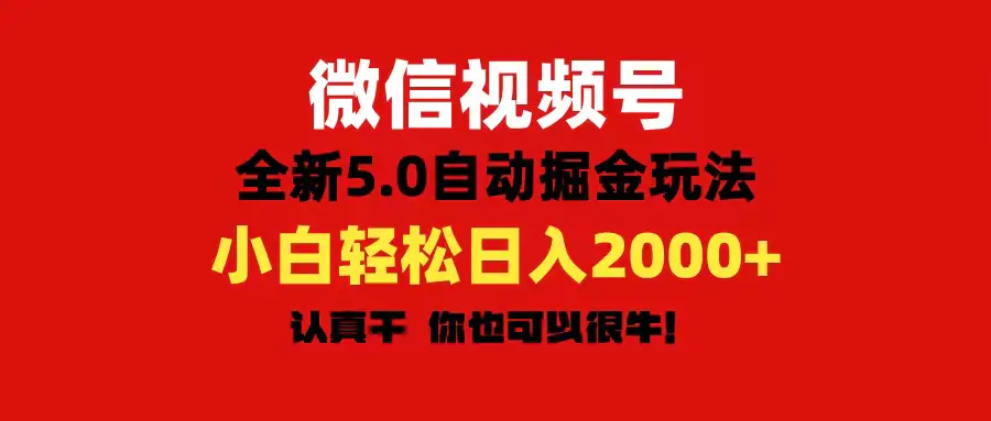 微信视频号变现，5.0全新自动掘金玩法，日入利润2000+有手就行-小二项目网