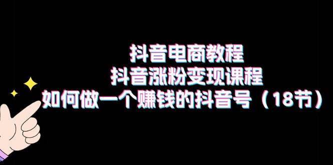 抖音电商教程：抖音涨粉变现课程：如何做一个赚钱的抖音号（18节）-小二项目网