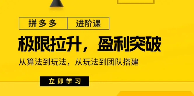 拼多多·进阶课：极限拉升/盈利突破：从算法到玩法 从玩法到团队搭建-18节-小二项目网