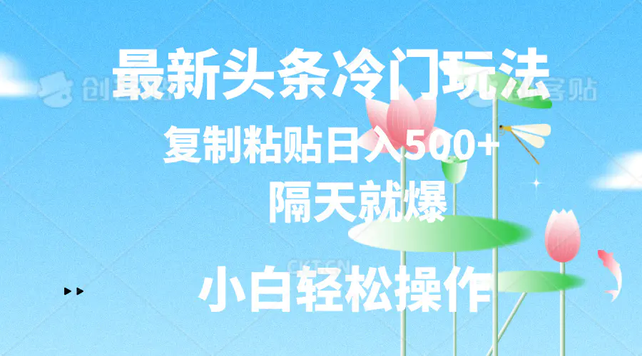 最新头条冷门玩法，隔天就爆，复制粘贴日入500+-小二项目网