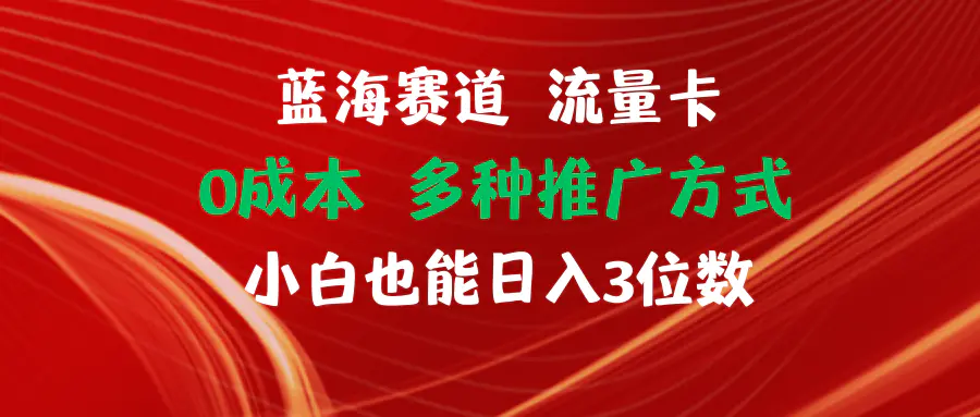 蓝海赛道 流量卡 0成本 小白也能日入三位数-小二项目网